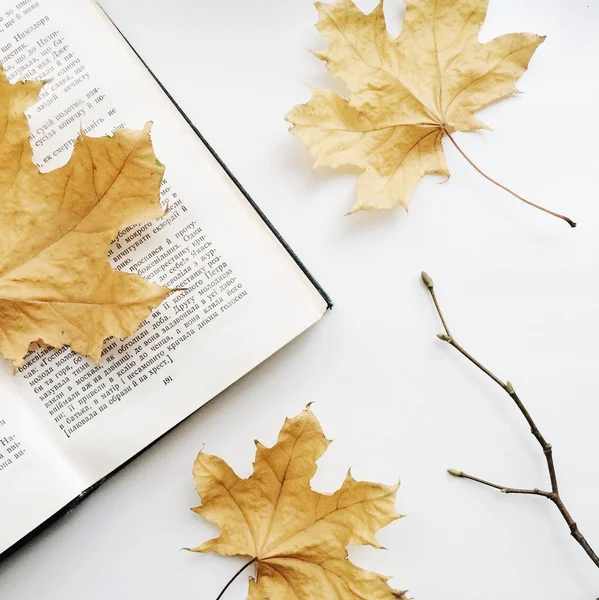 Autumn Leaves Book — Stock Photo, Image