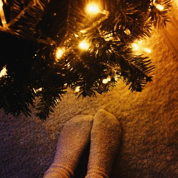 Geceleyin yılbaşı ağacı