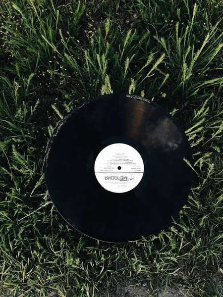 Vinil disk çimenlerin üzerinde