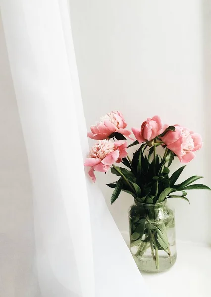 Penceredeki şakayıklar