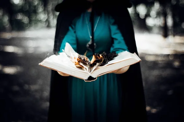 Elinde yanmış kitap