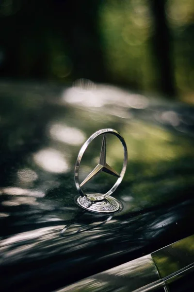 Mercedes Signe Voiture — Photo