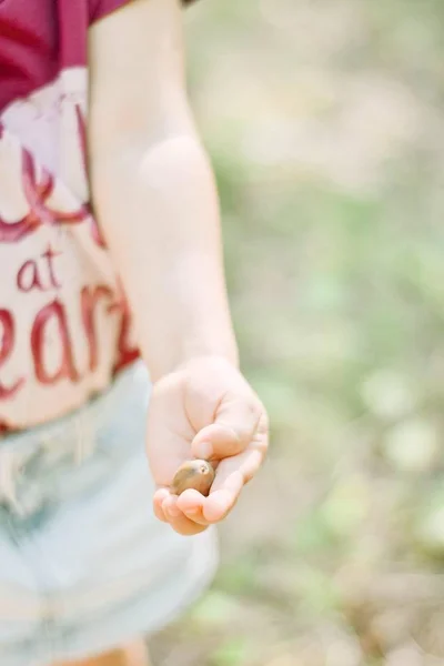 Çocuk el ile palamut