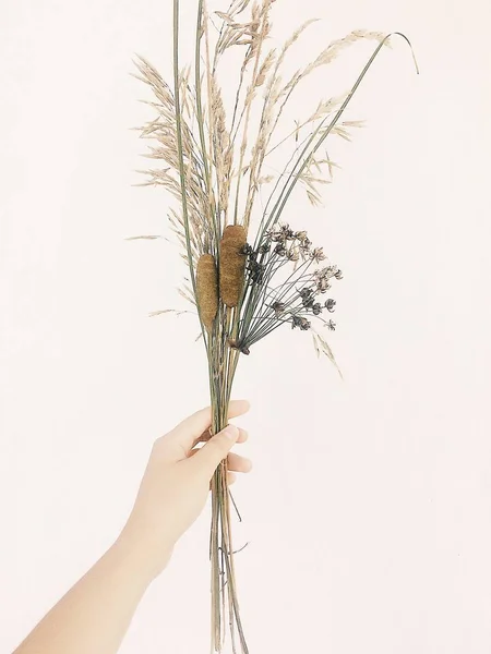 Elinde çiçek kurutulmuş