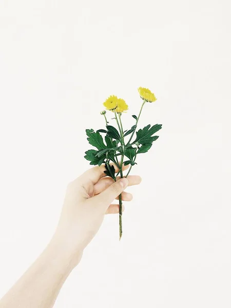 Minyatür el çiçekleri