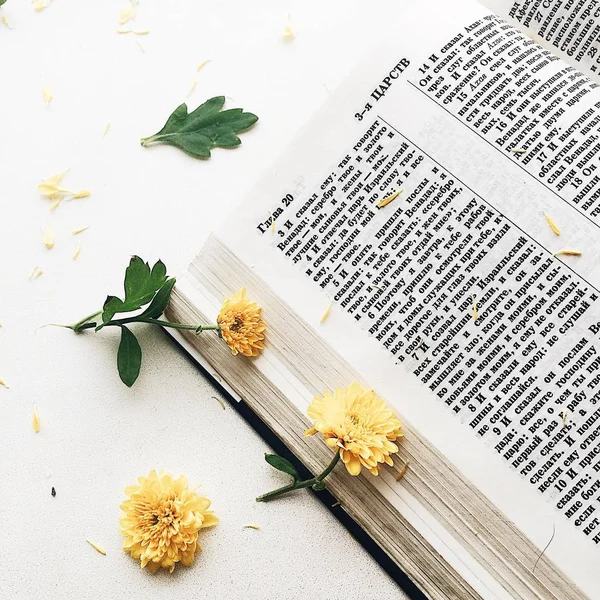 Biblia Kolorach Żółtym — Zdjęcie stockowe