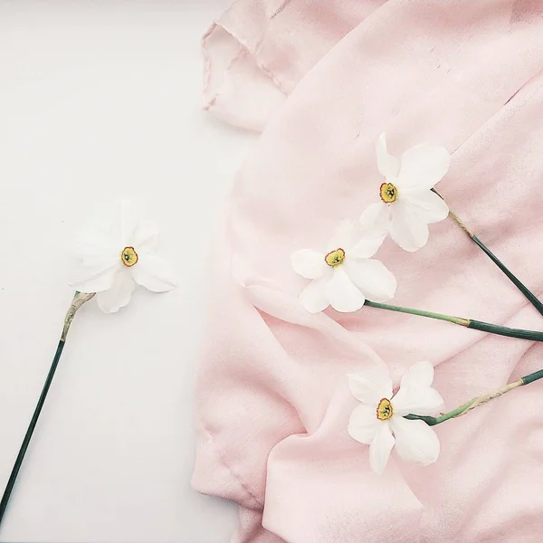 Daffodils Σχετικά Ροζ Ύφασμα Royalty Free Εικόνες Αρχείου