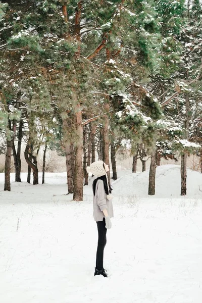 겨울 숲 속의 소녀 스톡 사진