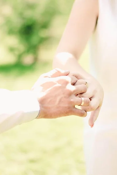 Hands Always Love — Stock Photo, Image