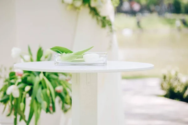 Masanın üzerinde bir lale