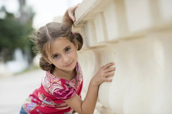 Sevimli Küçük Kız Açık Havada Pigtails Ile Taranmış — Stok fotoğraf