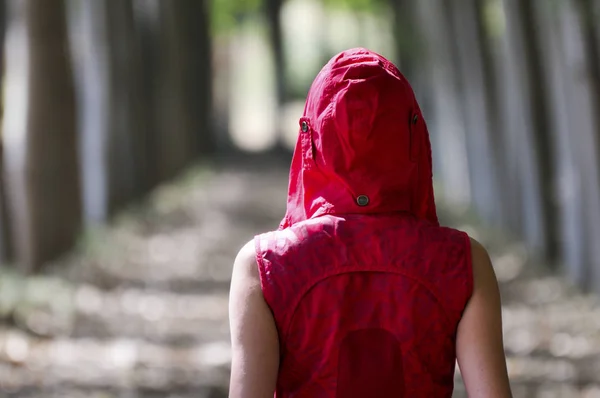 Mulheres Vestidas Vermelho Andando Floresta — Fotografia de Stock