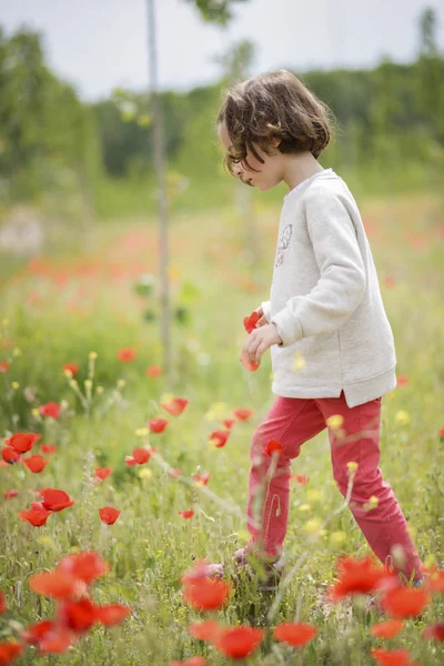 可爱的小女孩，在罂粟的领域有乐趣 — 图库照片