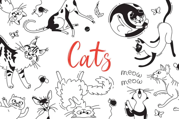 Carte avec des chats de différentes races. Chat dans le style dessin animé doodle. Fond vectoriel — Image vectorielle