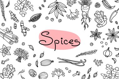 Arka plan yemek ve yazıt menü, yemek tarifleri ve ambalaj ürünleri tasarımı için kullanılan çeşitli baharatlar ile. Vektör çizim