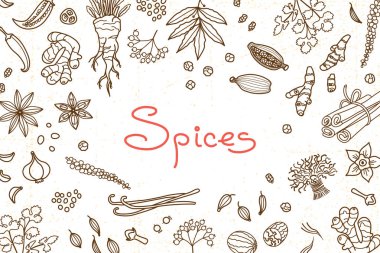 Arka plan yemek ve yazıt menü, yemek tarifleri ve ambalaj ürünleri tasarımı için kullanılan çeşitli baharatlar ile. Vektör çizim