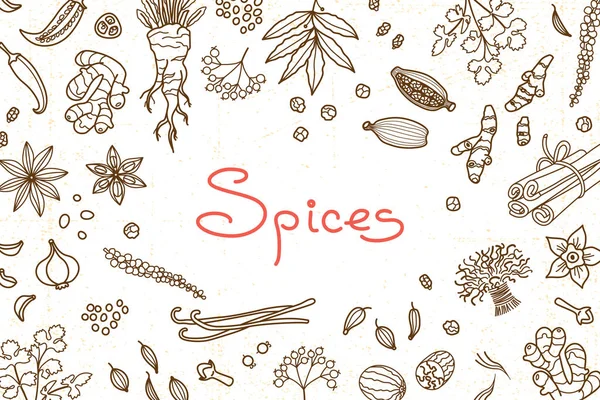 Background with various spices used in cooking and inscription for the design of menus, recipes and packaging products. Vector illustration — Stock Vector