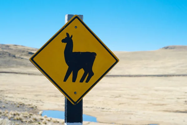 Sinal Estrada Llama Crossing — Fotografia de Stock