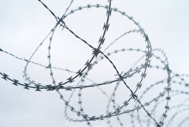 Beyaz bir arka plan - sınır güvenliği için bir kavram sarmal dikenli tel