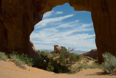 çam ağacı arch, arches national park, utah, ABD