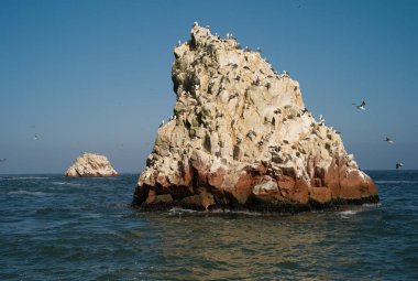 Islas Ballestas, Peru 'daki Guano Adaları