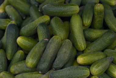 Bir çiftçi pazarda taze, küçük, organik, Bebek turşusu