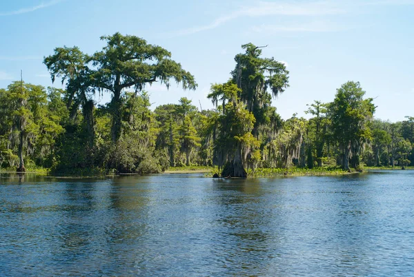 Landschaft mit Bäumen, spanischem Moos und Wakulla-Fluss an den Wakulla-Quellen, Florida, USA — Stockfoto