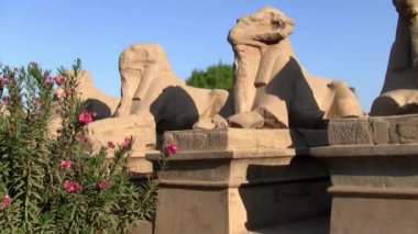 Sunny Day üzerinde Luksor, Mısır 'da Karnak tapınağında koç başlı Sfenks Tepesi 'nde heykelleri