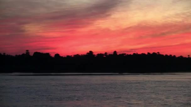 Dramatic Red Orange Sky Evening River Nile Silhouettes Trees Bank — Stock Video