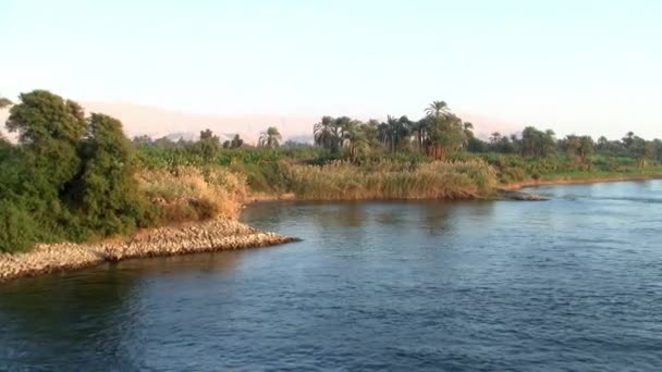 Croisière près d'un bosquet de palmiers et d'arbustes sur la rive du Nil en Egypte 