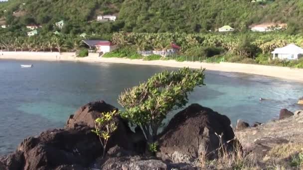 Anse Lorient Bay Ostrově Saint Barthlemy Karibiku Zelenými Horami Modrým — Stock video