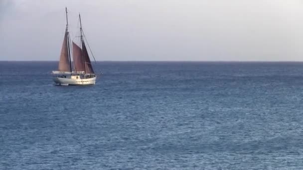 Cupecoy Beach Sint Maarten Circa Juli 2013 Vit Två Mast — Stockvideo