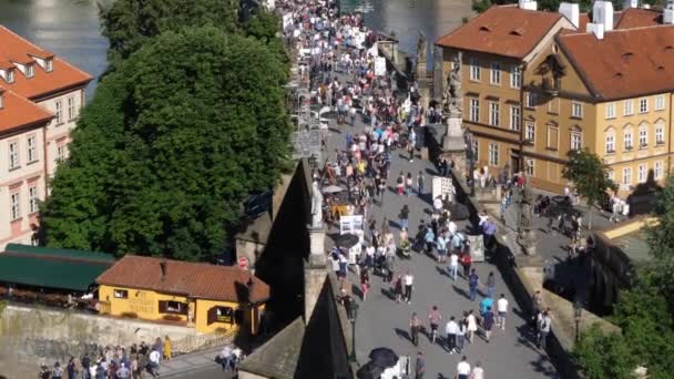 プラハ チェコ共和国 2009年6月8日 プラハのカレル橋 ヴルタヴァ川を渡る 航空写真 暑い夏の日を過ぎる観光客の群衆 — ストック動画