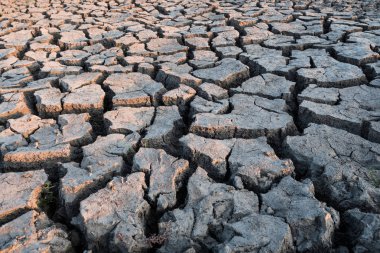Kuraklık Kavramı - Kuru Çatlak Toprak
