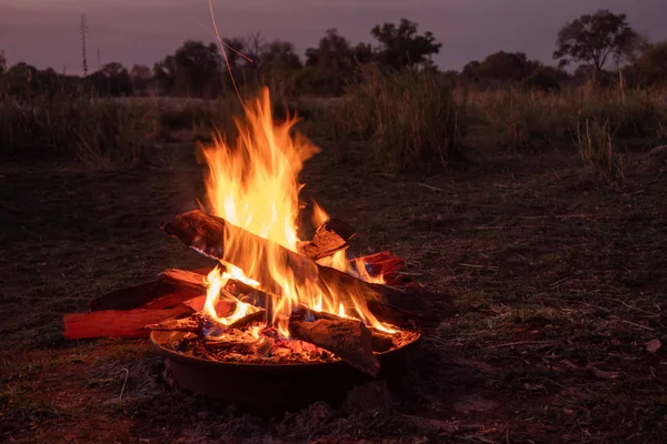 Okavango, Afrika Afrika Savanna Kampı Yangın Burning