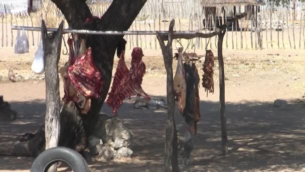 Carne Pendurada Uma Barraca Makeshift Beira Estrada Namíbia Com Higiene — Vídeo de Stock