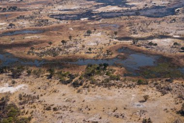 Kuru Savanna, Ağaçlar ve Watercourse ile Okavango Delta sı Havadan