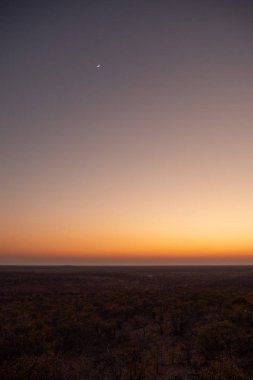 Afrika Savanna'da Ay ile Gün Batımı