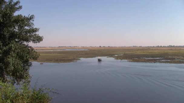 チョベ国立公園の美しい風景の中でチョベ川で動物を見守るボート ボツワナ アフリカ — ストック動画