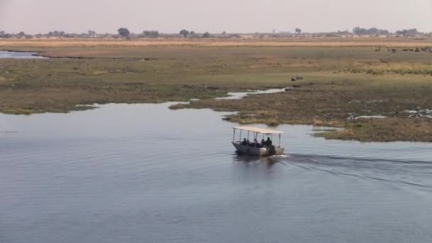 Barco Para Observação Animais Rio Chobe Bela Paisagem Parque Nacional — Vídeo de Stock