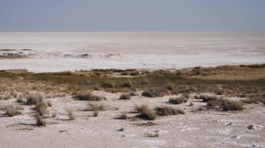 Horizon in Etosha Salt Pan, Etosha Milli Parkı, Kuru, Kurak, Kurumuş, Kuru Mevsim Tuz Düzlükünün ıssız Manzarası, Namibya, Afrika