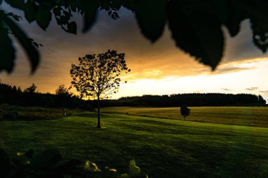Gün batımında güzel bir tarla.