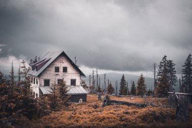 Ormanın ve dağların güzel manzarası