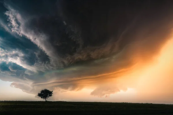 Грозовые Облака Дерево Ландшафтном Напитке Торнадо — стоковое фото