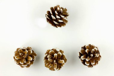 Beyaz arka planda çam kozalakları. Üst görünüm