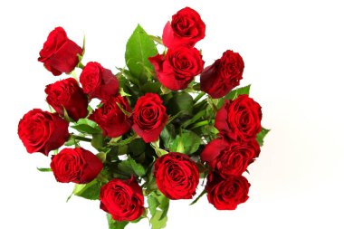 Beyaz arka planda kırmızı güller.