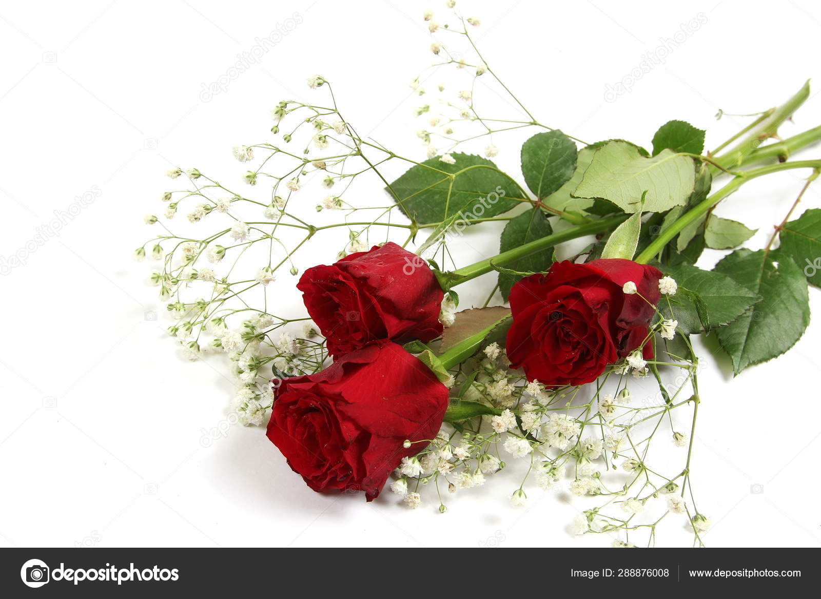 Bouquet Roses Rouges Sur Fond Blanc Image Libre De Droit Par Ludmila371 C