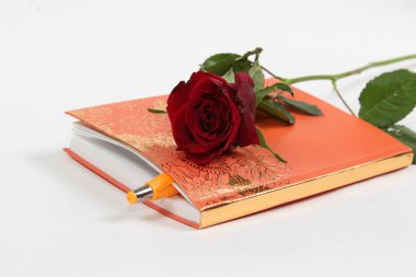 Beyaz arka planda yazı-kitap ve kalem ile kırmızı gül