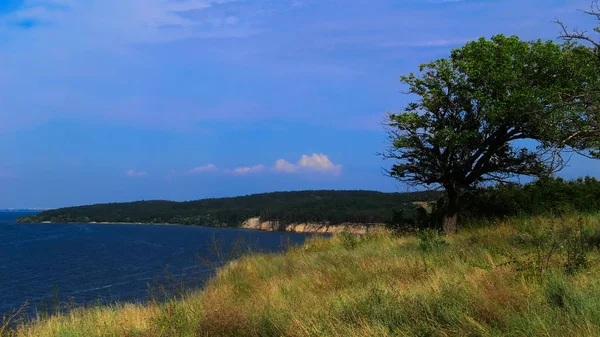      Yalnız Ağaç dik Dinyeper kıyısında.