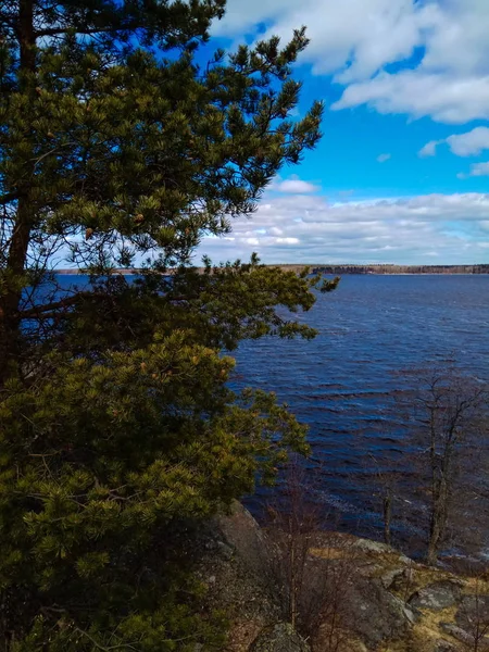 Lake parkta. Vyborg. Rusya.